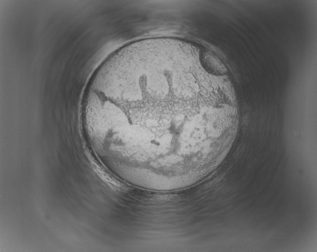 X0000076351423200610201748