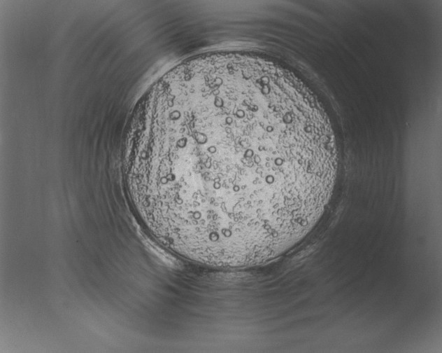 X0000076351425200610201748