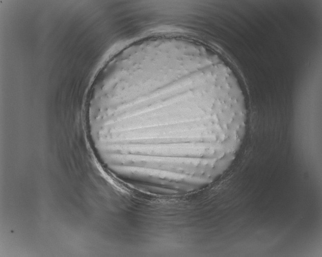 X0000076351429200610201748