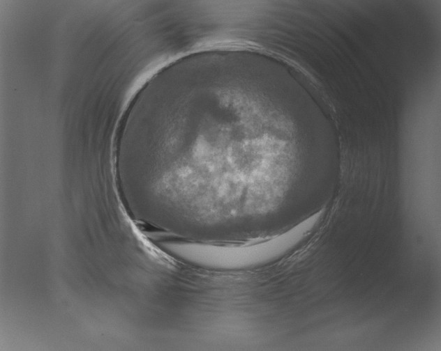 X0000076351430200610201748