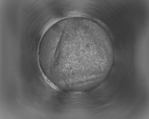 X0000076351431200610201748