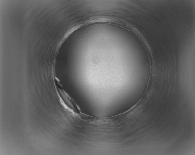 X0000076351433200610201749