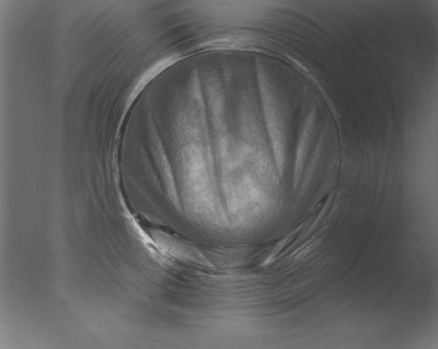 X0000076351434200610201749