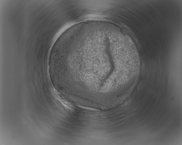 X0000076351435200610201749