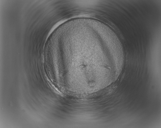 X0000076351436200610201749