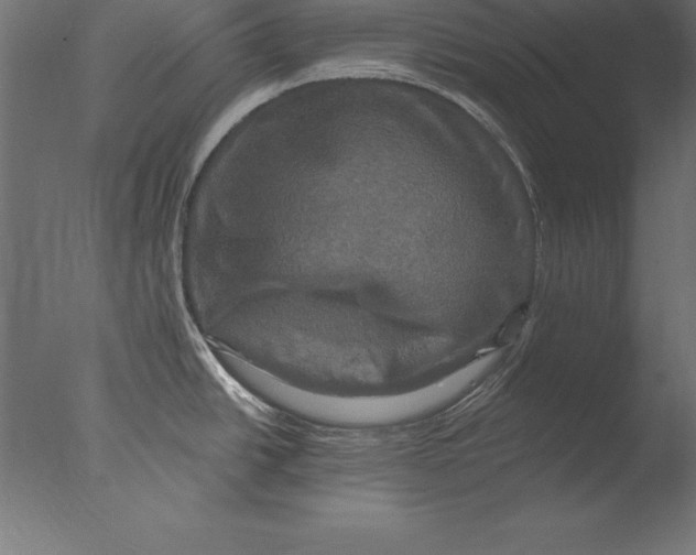 X0000076351438200610201749