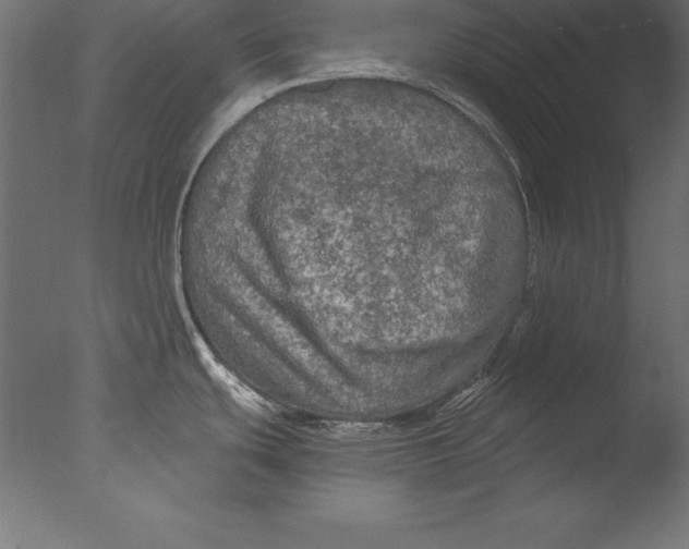 X0000076351439200610201749