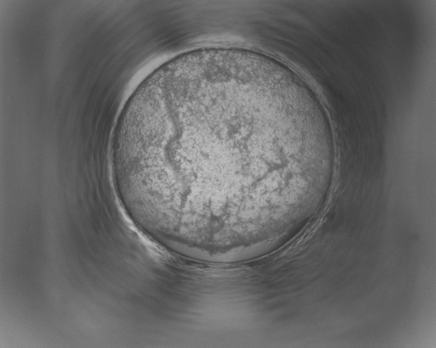 X0000076351440200610201749