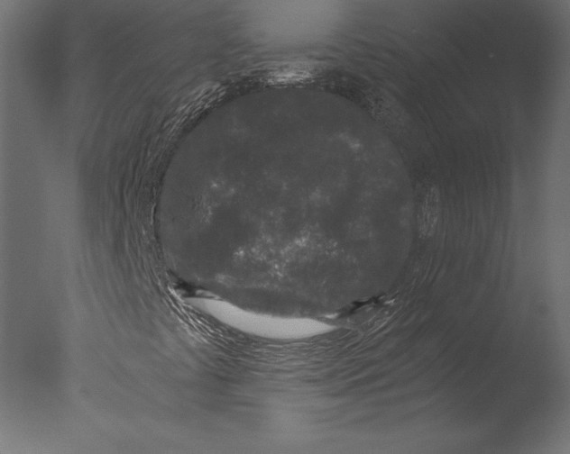 X0000076351441200610201748