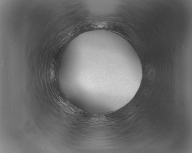 X0000076351442200610201748