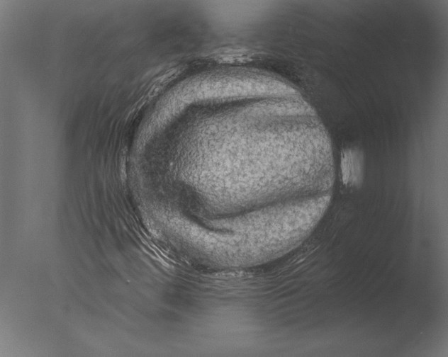 X0000076351444200610201748