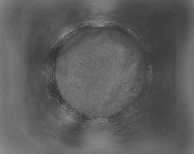 X0000076351446200610201748