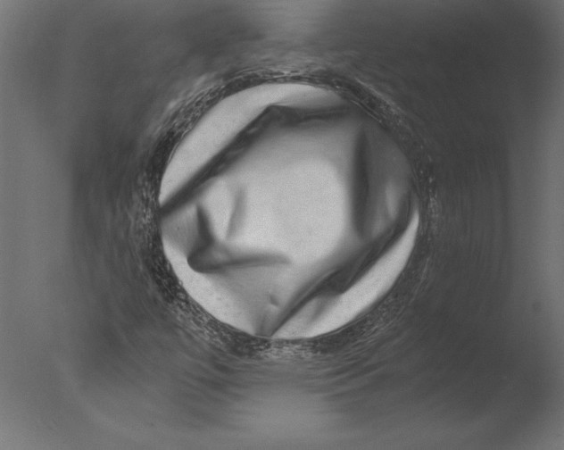 X0000076351447200610201748