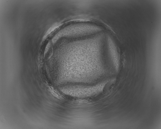 X0000076351448200610201748