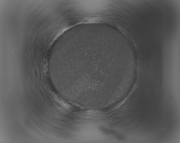 X0000076351449200610201748