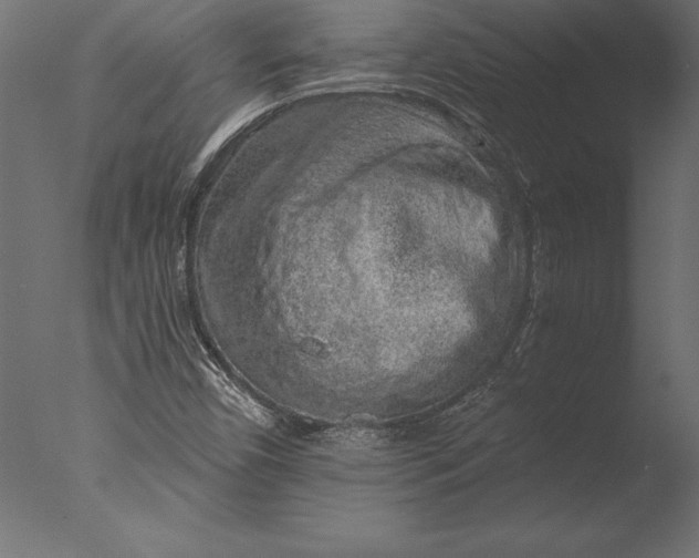 X0000076351450200610201748