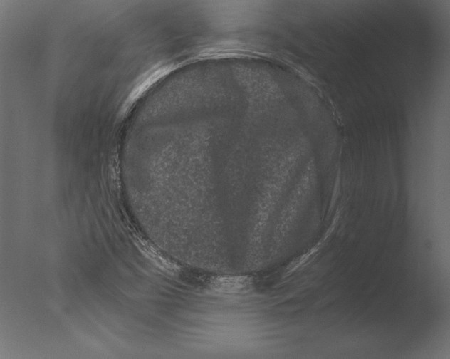 X0000076351453200610201748