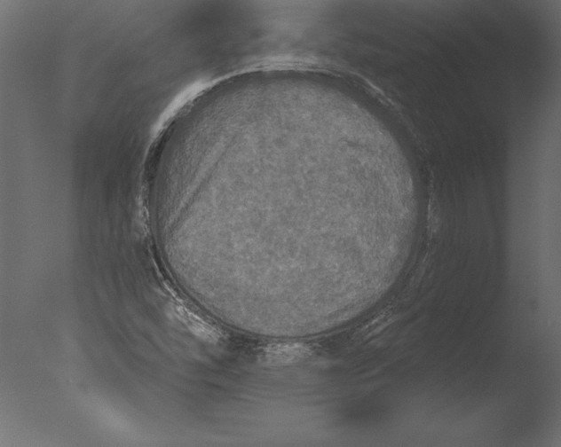 X0000076351454200610201748