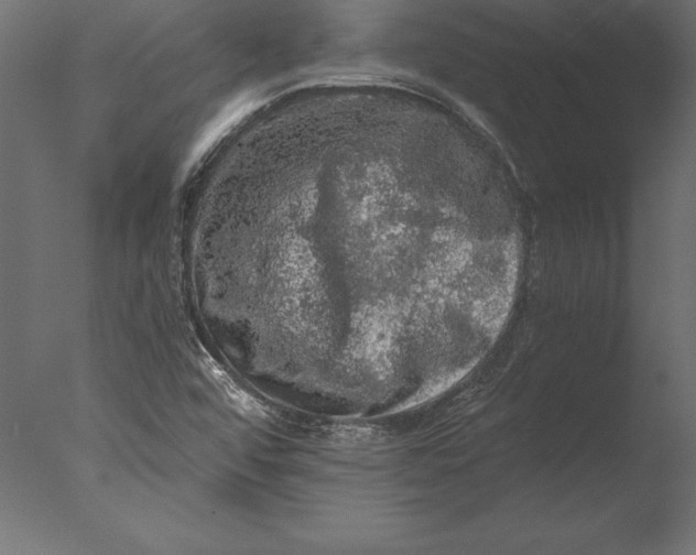 X0000076351456200610201748