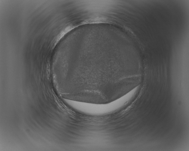 X0000076351457200610201748