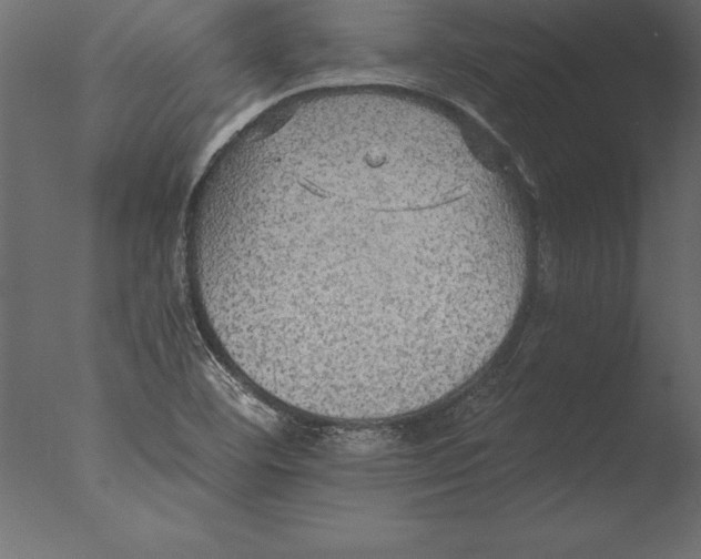 X0000076351460200610201748