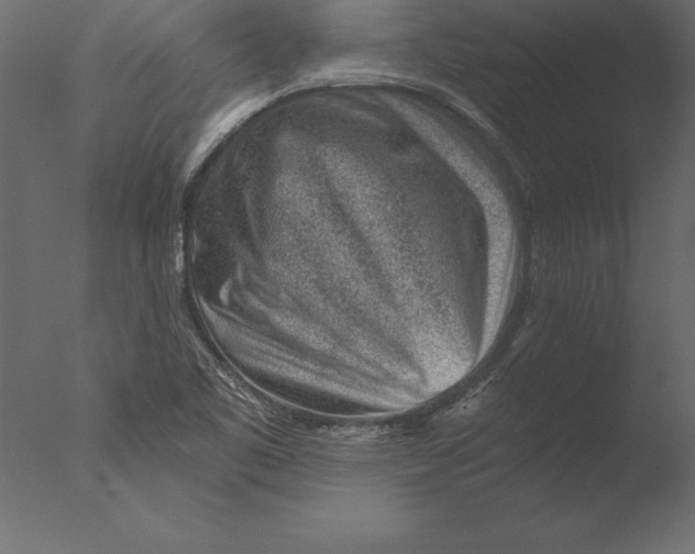 X0000076351461200610201747