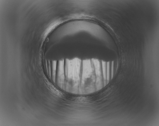 X0000076351463200610201747