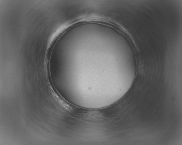 X0000076351464200610201747