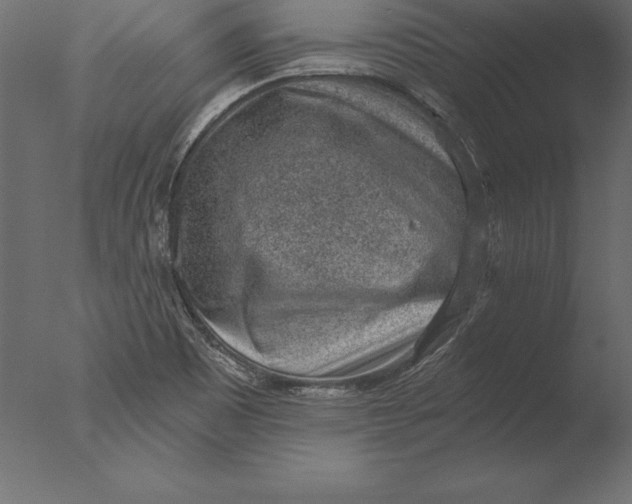 X0000076351465200610201747