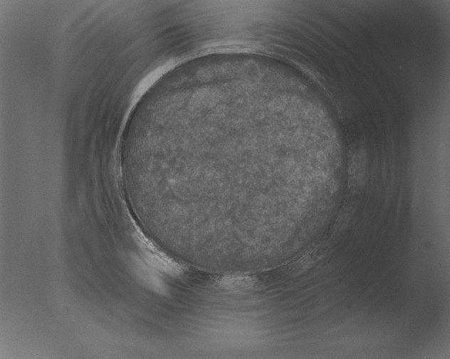 X0000076351466200610201747