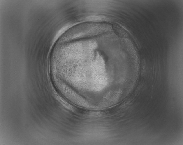 X0000076351467200610201747