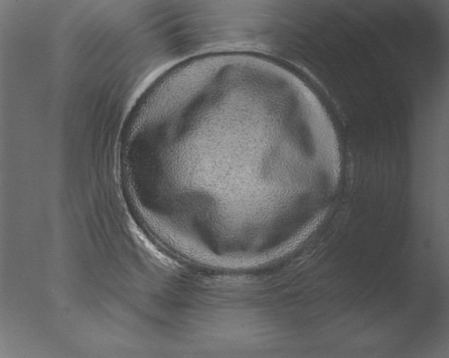 X0000076351468200610201747