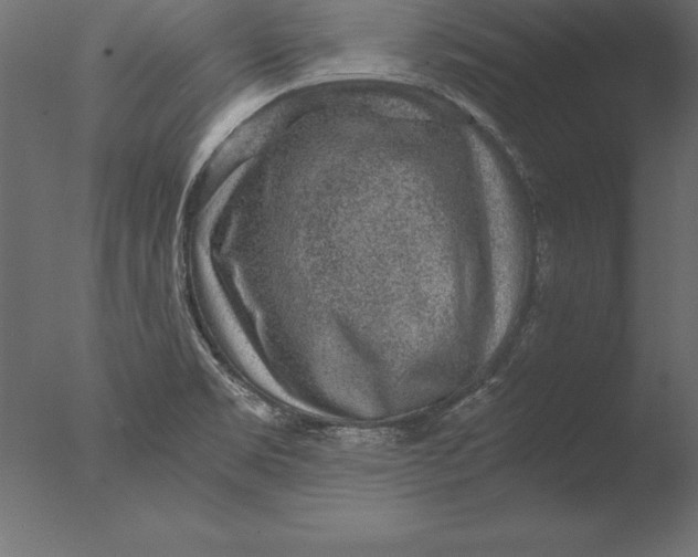 X0000076351469200610201747