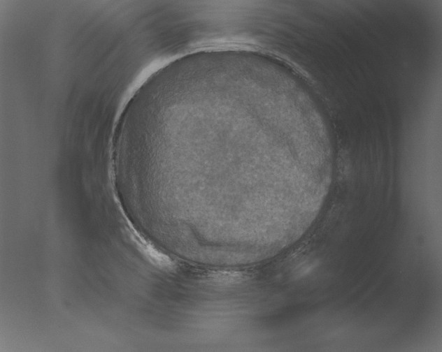 X0000076351470200610201747