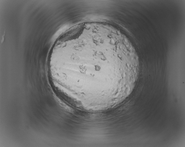 X0000076351471200610201747