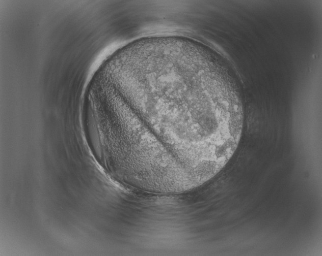 X0000076351472200610201747