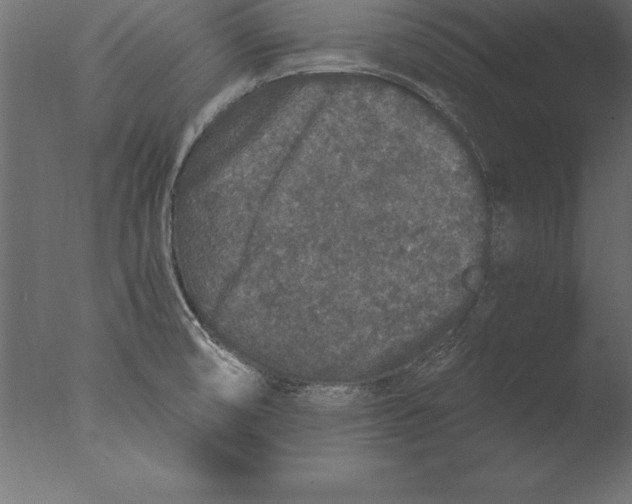 X0000076351474200610201747