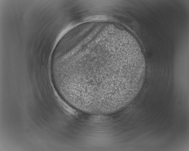 X0000076351475200610201747