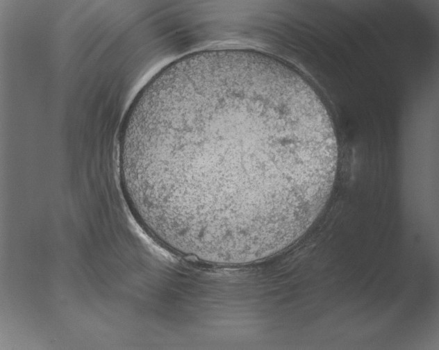 X0000076351476200610201747