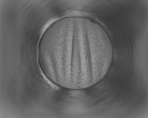 X0000076351479200610201747