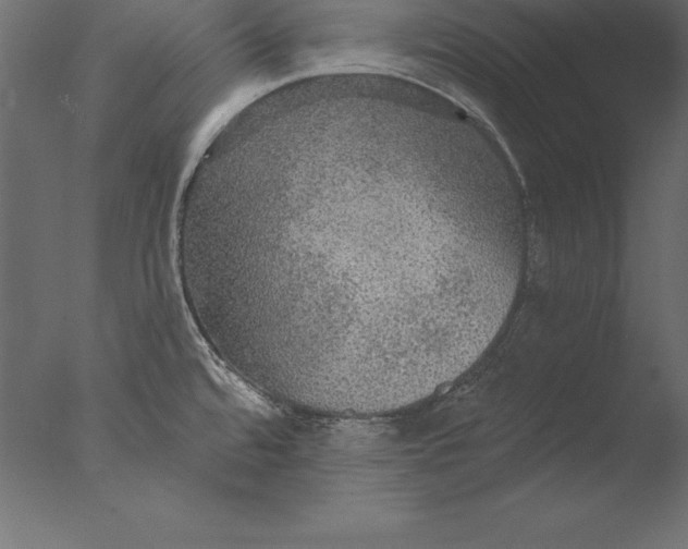 X0000076351480200610201747