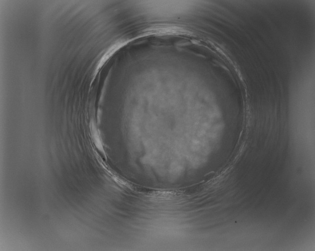 X0000076351481200610201747