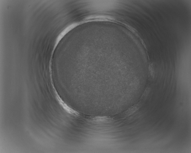 X0000076351482200610201747