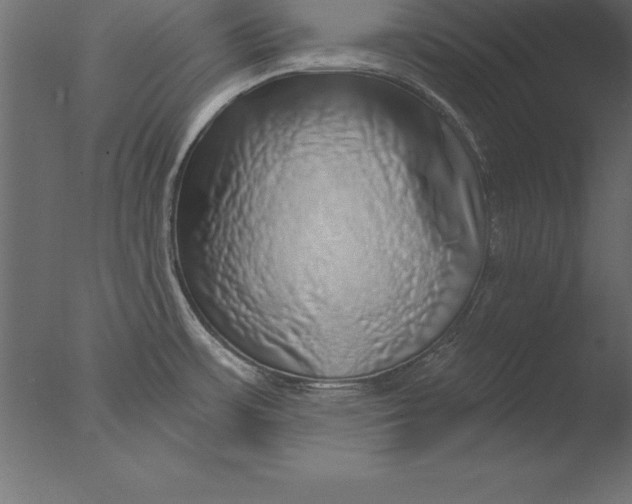 X0000076351483200610201747