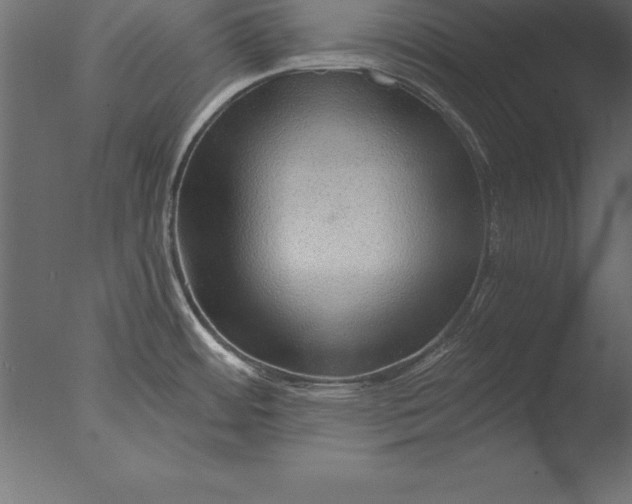 X0000076351484200610201747