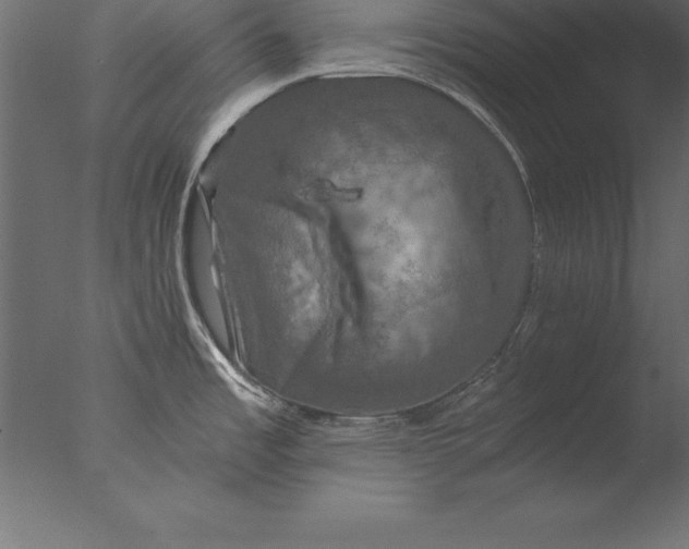 X0000076351485200610201747