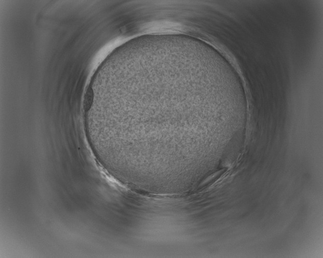 X0000076351488200610201747