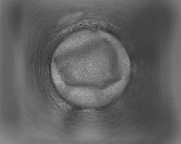 X0000076351489200610201746