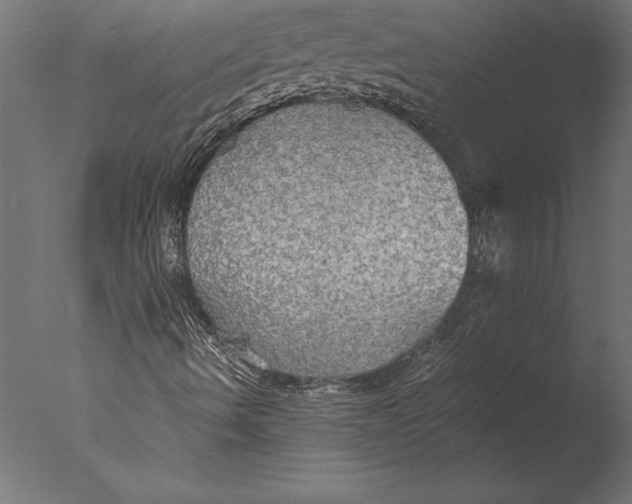 X0000076351490200610201746