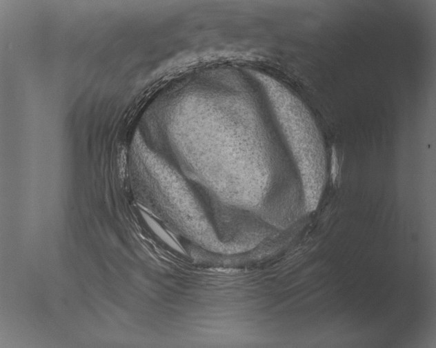 X0000076351492200610201746